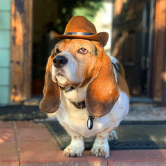 Dog cat Cowboy Hat,Pet Costume Accessory for Dogs Cats Holiday Costumes ne new