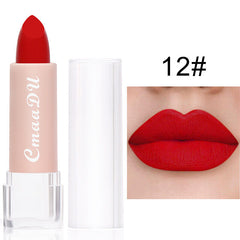 Long Lasting Velvet Matte Lip Color Waterproof Lipstick Pigment Makeup