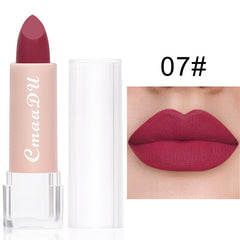 Long Lasting Velvet Matte Lip Color Waterproof Lipstick Pigment Makeup