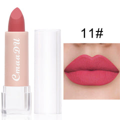 Long Lasting Velvet Matte Lip Color Waterproof Lipstick Pigment Makeup