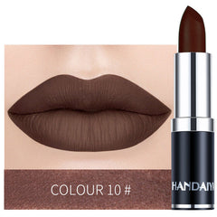 Long Lasting Velvet Matte Lip Color Waterproof Lipstick Pigment Makeup