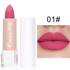 Long Lasting Velvet Matte Lip Color Waterproof Lipstick Pigment Makeup