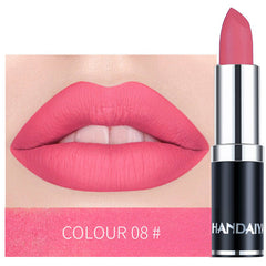 Long Lasting Velvet Matte Lip Color Waterproof Lipstick Pigment Makeup