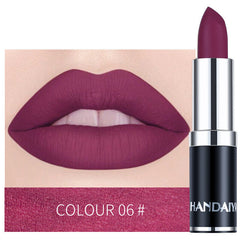 Long Lasting Velvet Matte Lip Color Waterproof Lipstick Pigment Makeup