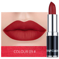 Long Lasting Velvet Matte Lip Color Waterproof Lipstick Pigment Makeup