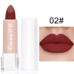 Long Lasting Velvet Matte Lip Color Waterproof Lipstick Pigment Makeup
