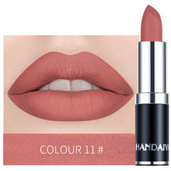 Long Lasting Velvet Matte Lip Color Waterproof Lipstick Pigment Makeup