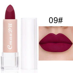 Long Lasting Velvet Matte Lip Color Waterproof Lipstick Pigment Makeup