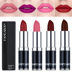 Long Lasting Velvet Matte Lip Color Waterproof Lipstick Pigment Makeup