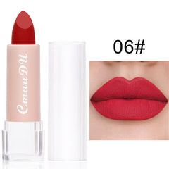 Long Lasting Velvet Matte Lip Color Waterproof Lipstick Pigment Makeup