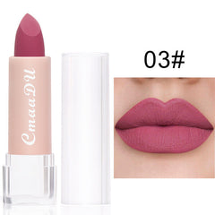 Long Lasting Velvet Matte Lip Color Waterproof Lipstick Pigment Makeup