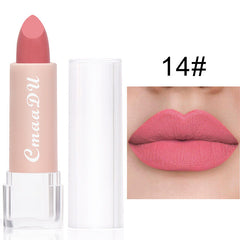 Long Lasting Velvet Matte Lip Color Waterproof Lipstick Pigment Makeup
