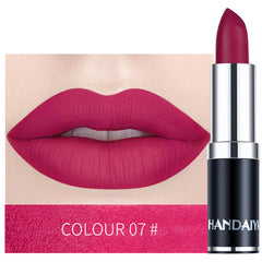 Long Lasting Velvet Matte Lip Color Waterproof Lipstick Pigment Makeup