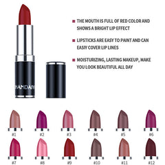 Long Lasting Velvet Matte Lip Color Waterproof Lipstick Pigment Makeup